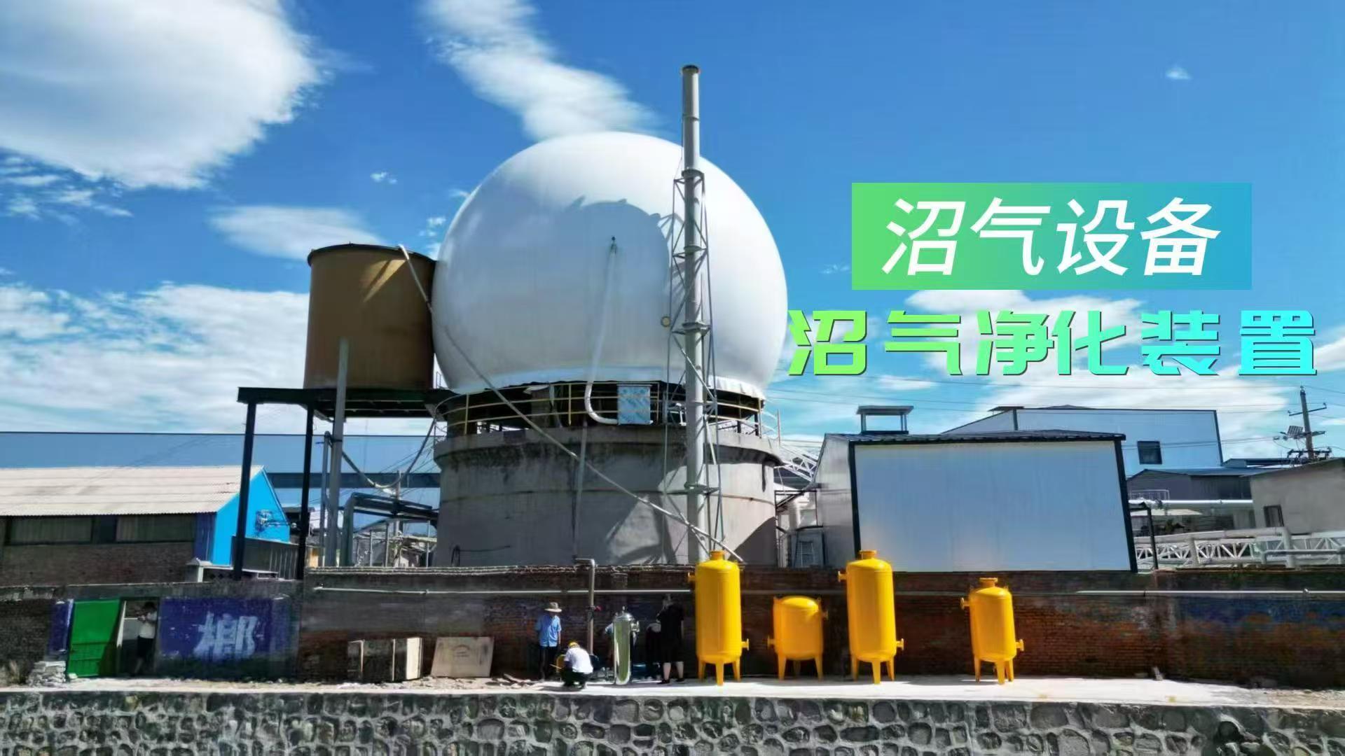 泰安沼气处理